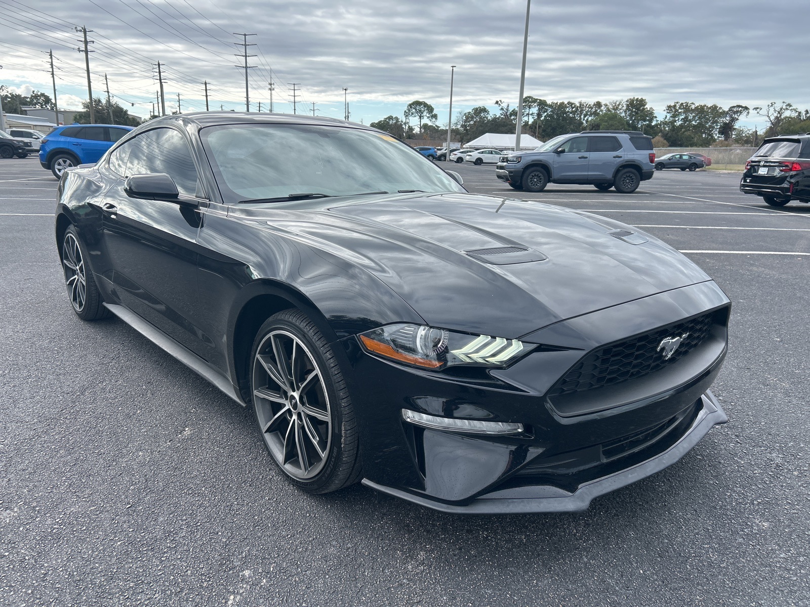 2019 Ford Mustang EcoBoost's photo