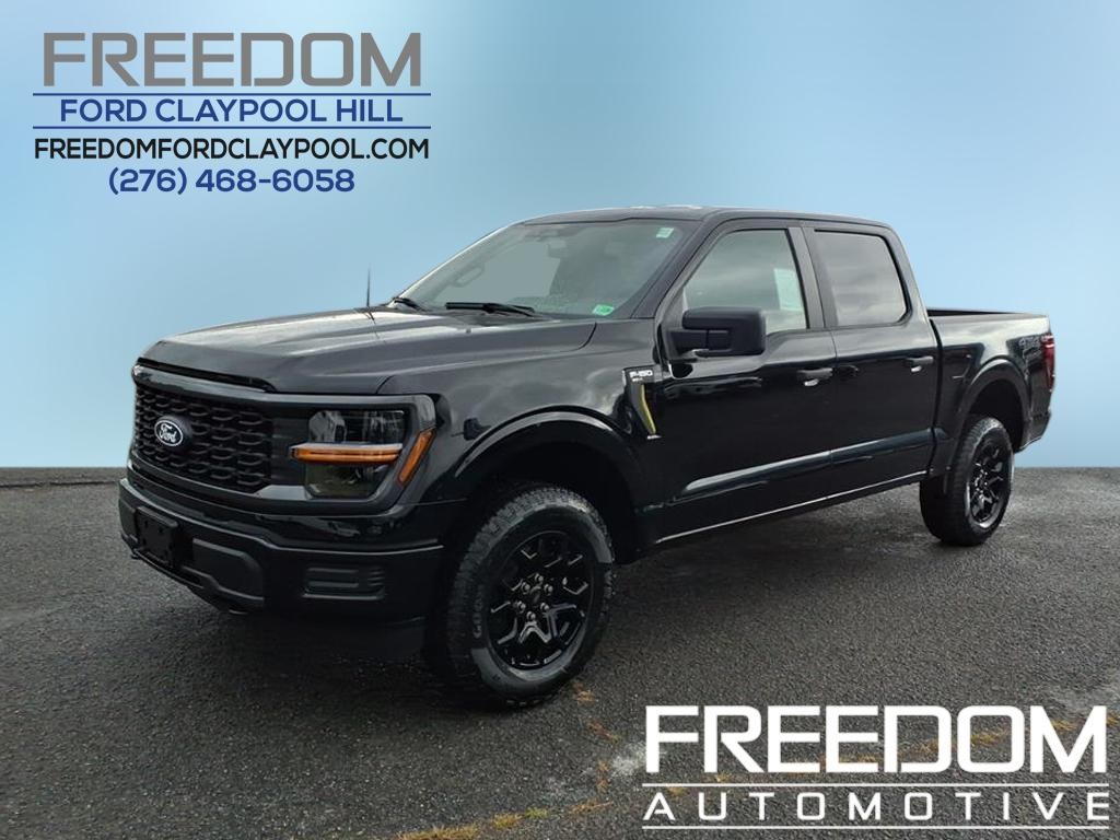 2025 Ford F-150 STX's photo
