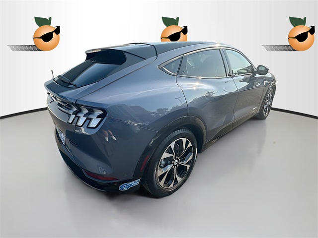 2021 Ford Mustang Mach-E Premium photo 7