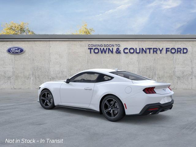 2025 Ford Mustang EcoBoost photo 13