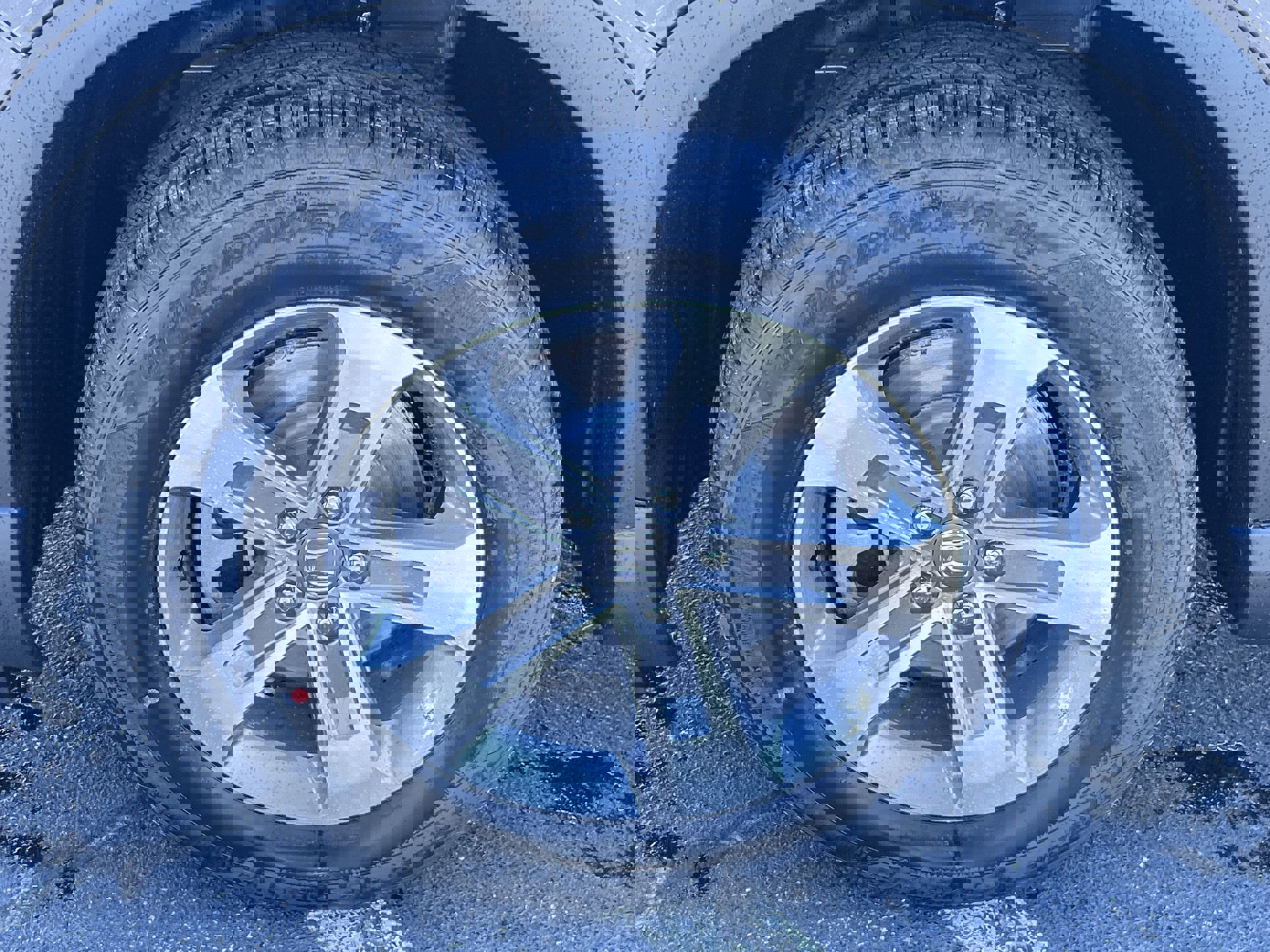 2025 Honda Pilot EX-L photo 9