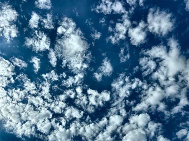 View 22