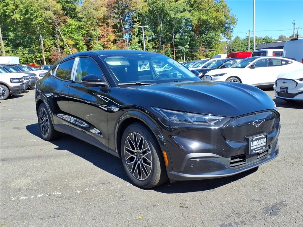 2025 Ford Mustang Mach-E Premium AWD's photo