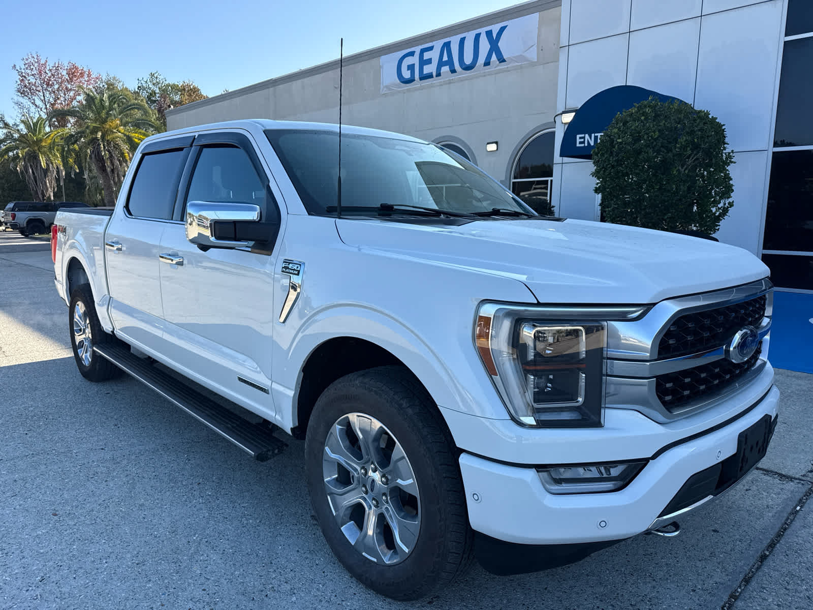 2023 Ford F-150 Platinum's photo