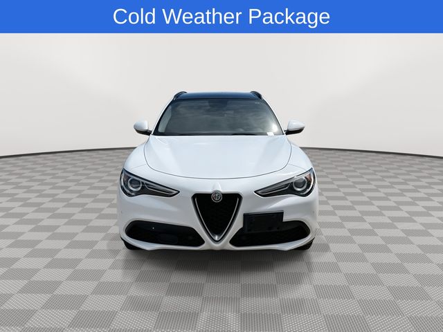 2019 Alfa Romeo Stelvio Base photo 2