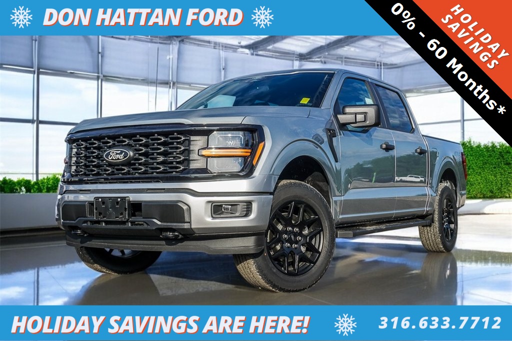 2025 Ford F-150 STX's photo