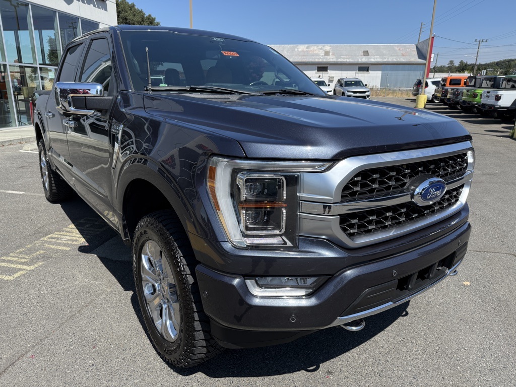 2021 Ford F-150 Platinum photo 6