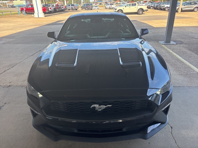 2022 Ford Mustang EcoBoost photo 2