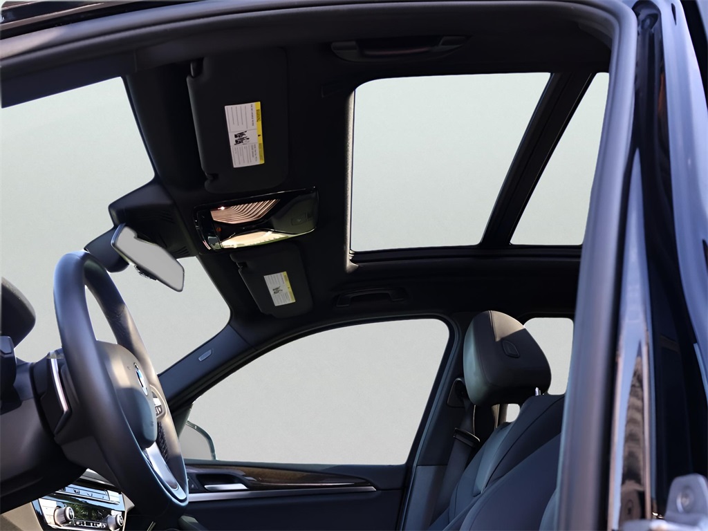 2020 Bmw X3 xDrive30i photo 41