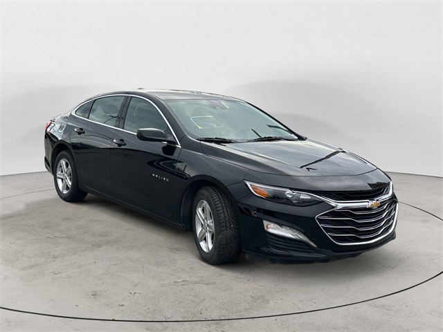 2024 Chevrolet Malibu 1LT photo 7