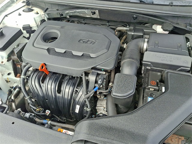 View 29