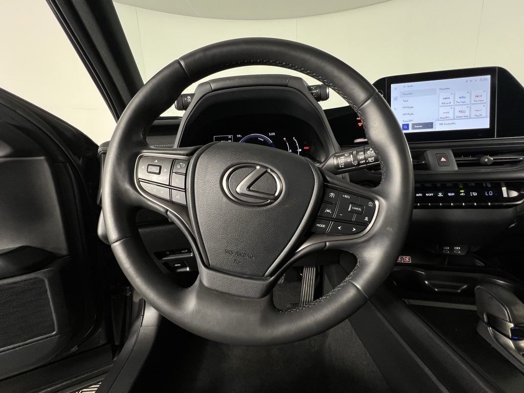 2025 Lexus UX F SPORT Design photo 11