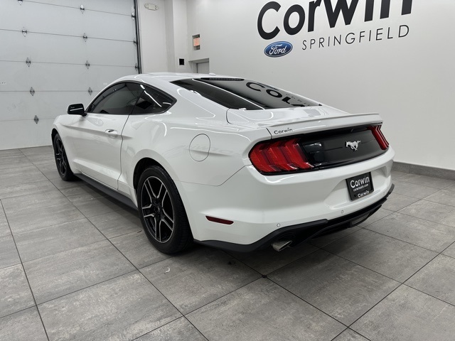 2019 Ford Mustang EcoBoost Premium photo 2