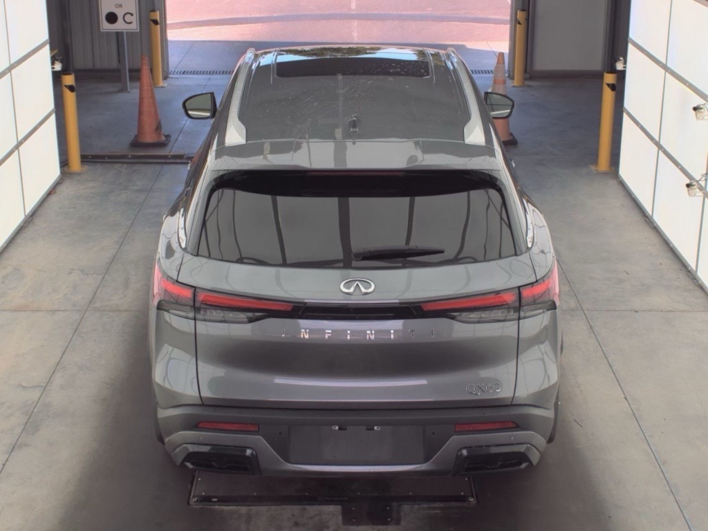 2024 Infiniti QX60 Luxe photo 3