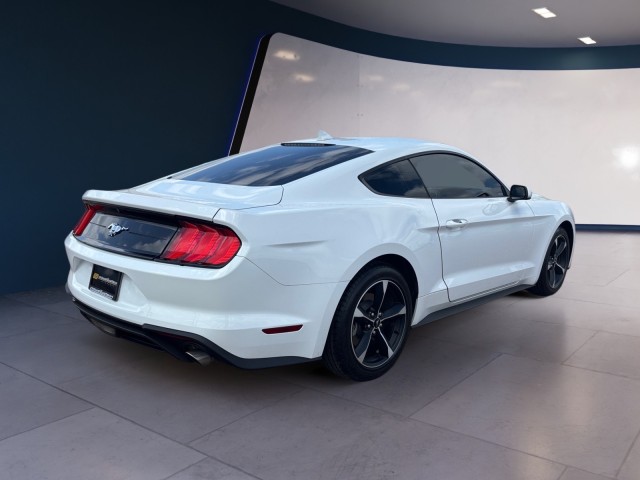 2023 Ford Mustang EcoBoost photo 5
