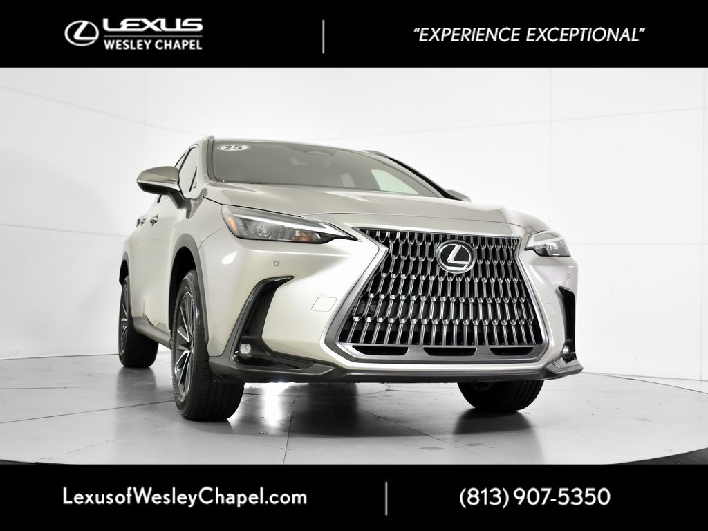 2025 Lexus NX 250's photo