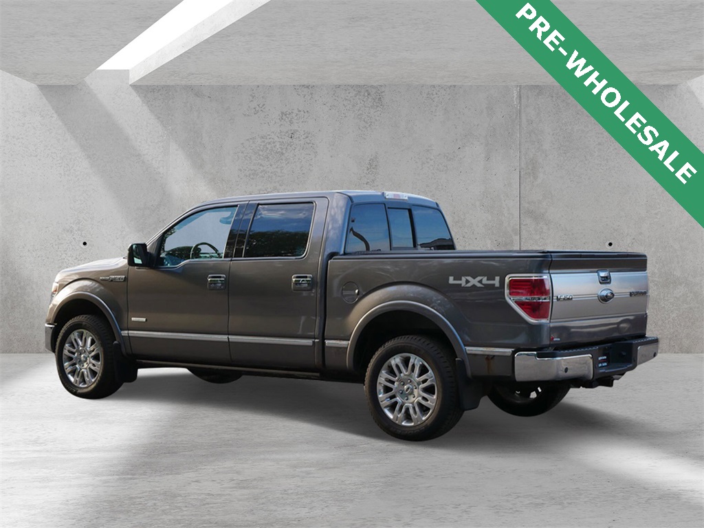 2013 Ford F-150 Platinum photo 4