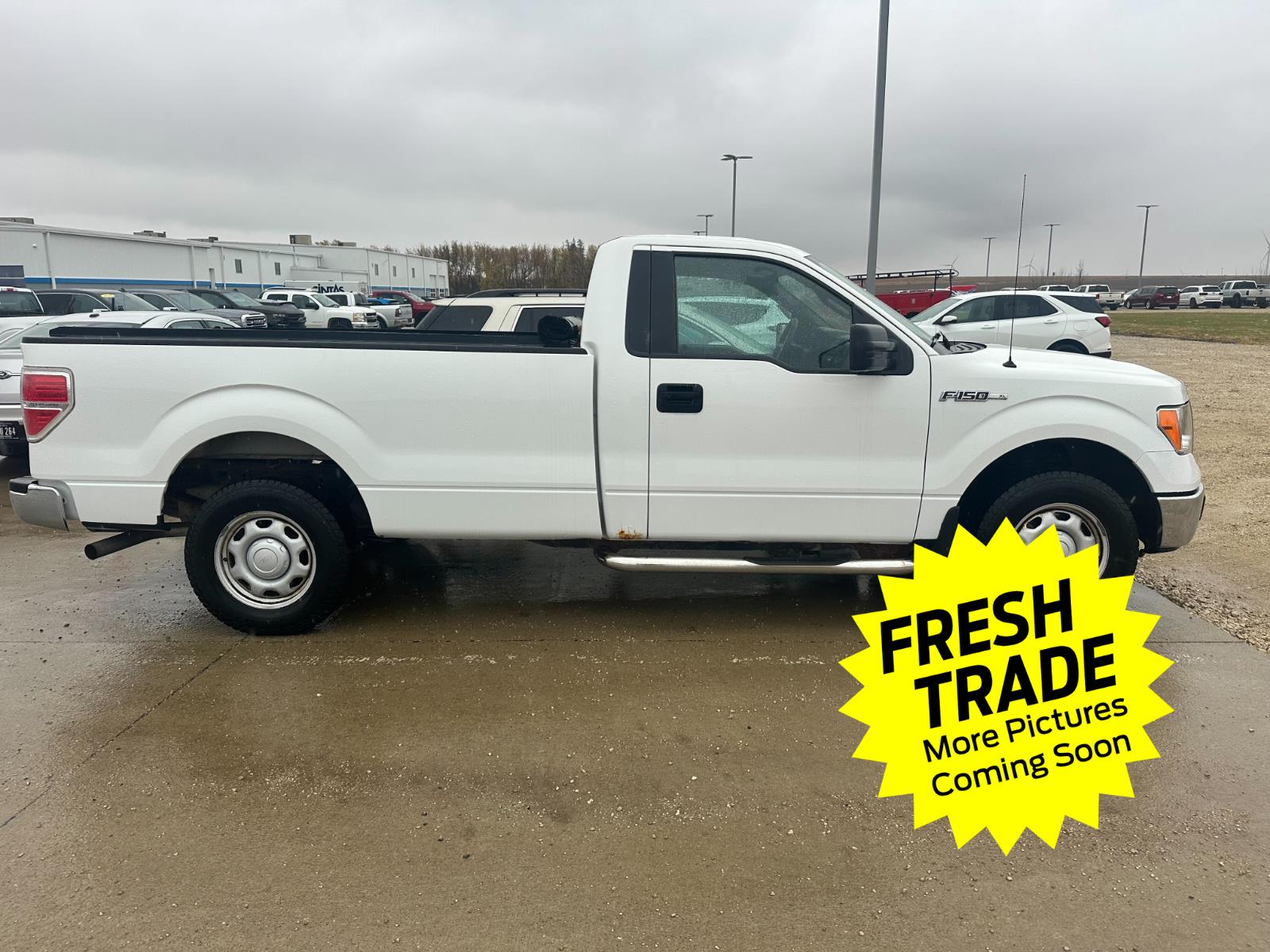 2013 Ford F-150 XL photo 4