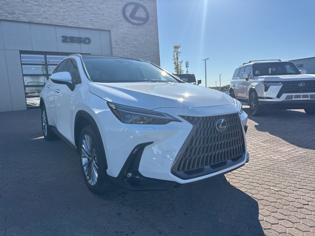 2026 Lexus NX 350 Luxury AWD photo 3