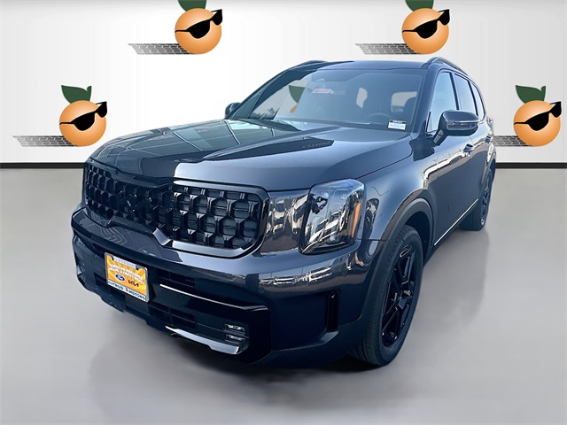 2025 Kia Telluride SX Prestige X-Line photo 3