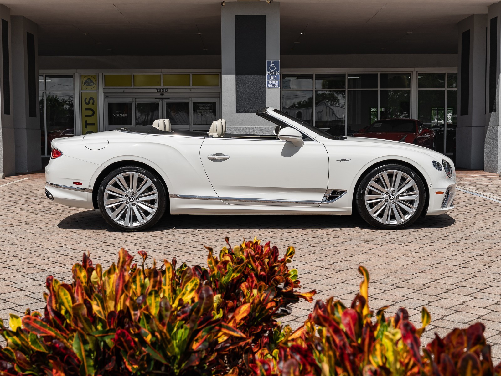 2022 Bentley Continental GTC Speed photo 24