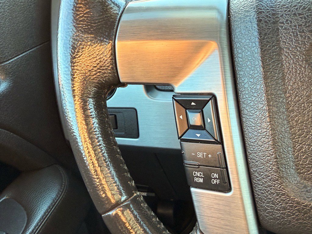 2014 Ford F-150 Limited photo 14