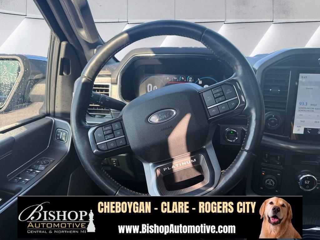 2021 Ford F-150 Platinum photo 14