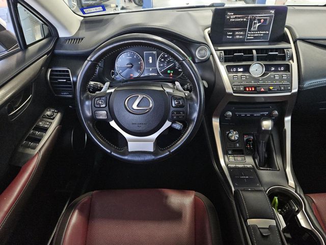 2019 Lexus NX 300 Luxury photo 10