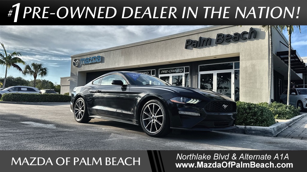 2019 Ford Mustang EcoBoost's photo