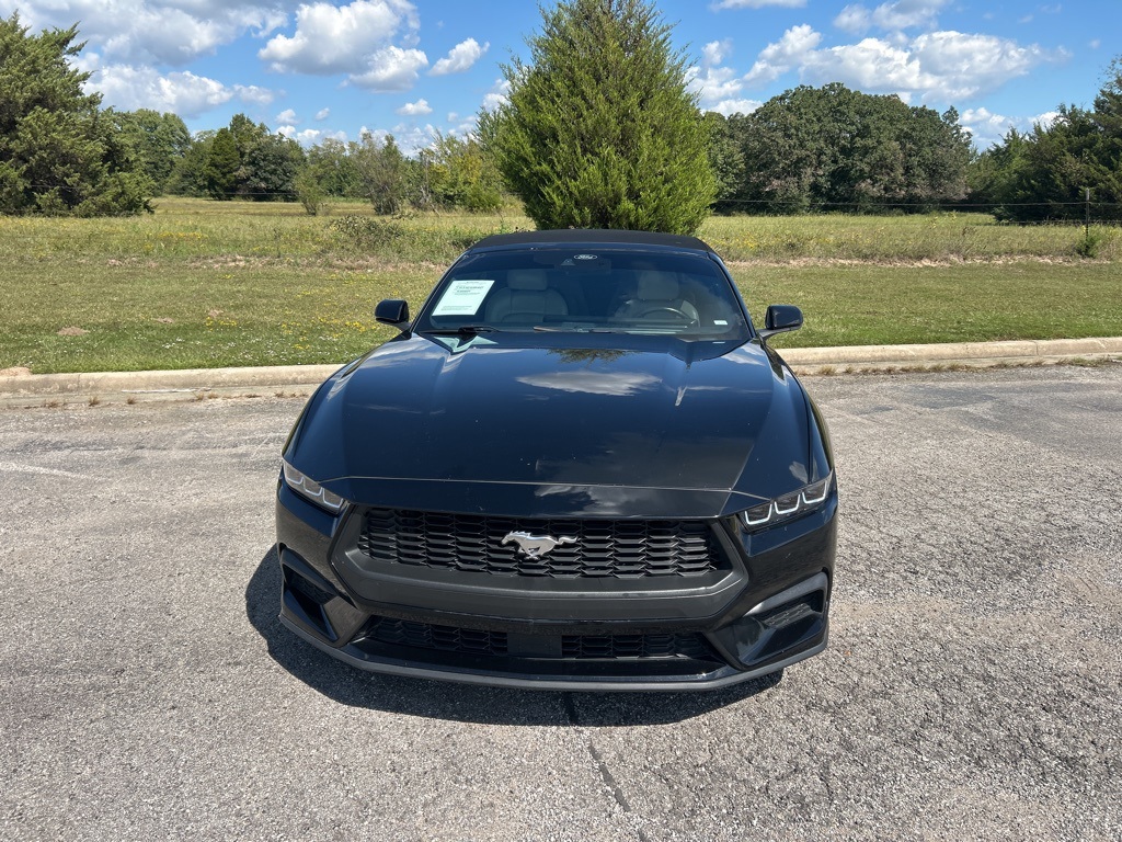 2024 Ford Mustang EcoBoost Premium photo 2