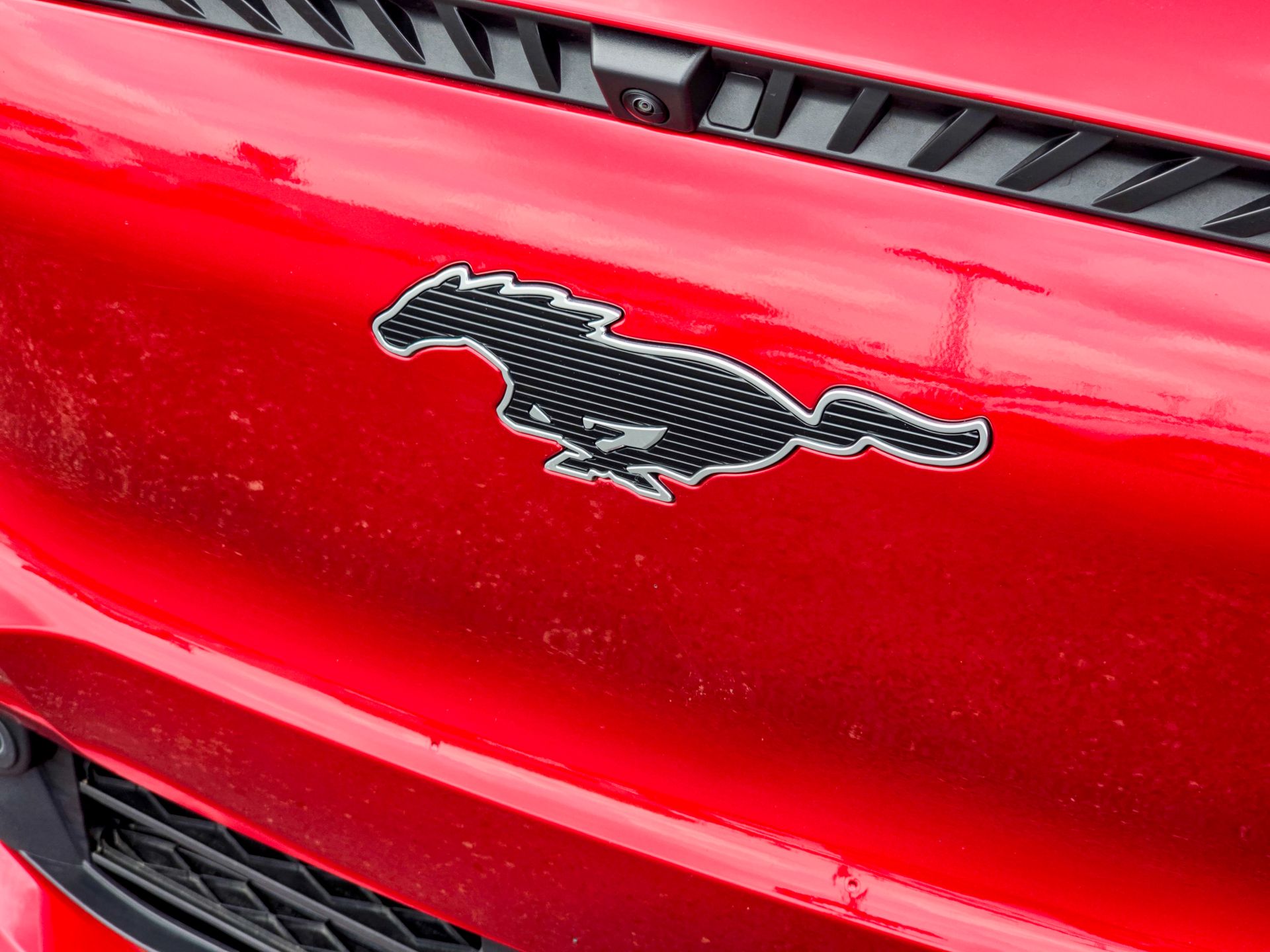 2024 Ford Mustang Mach-E Select photo 3