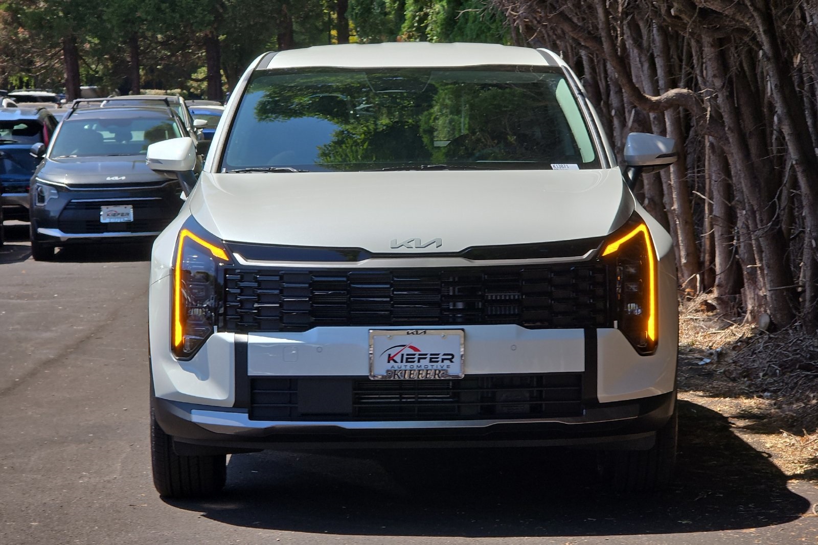 2026 Kia Sportage Hybrid S photo 4