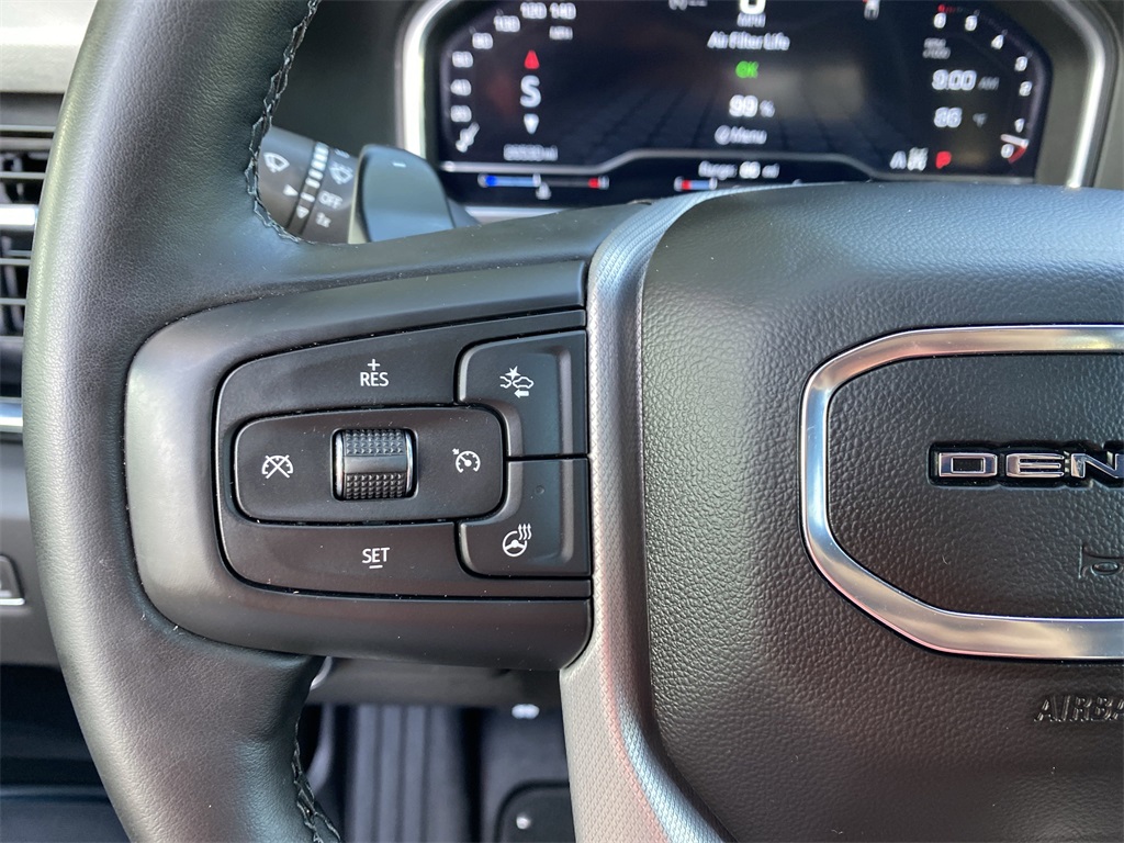 2024 Gmc Sierra 1500 Denali photo 18