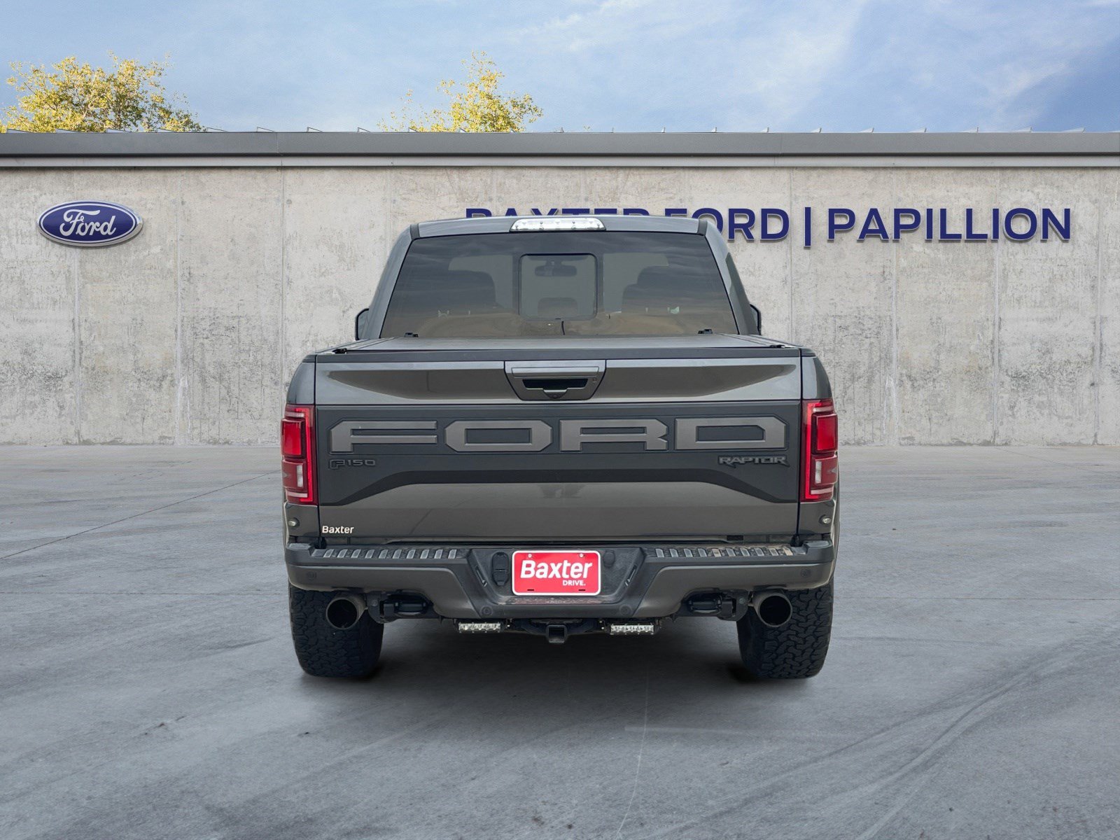 2019 Ford F-150 Raptor photo 4