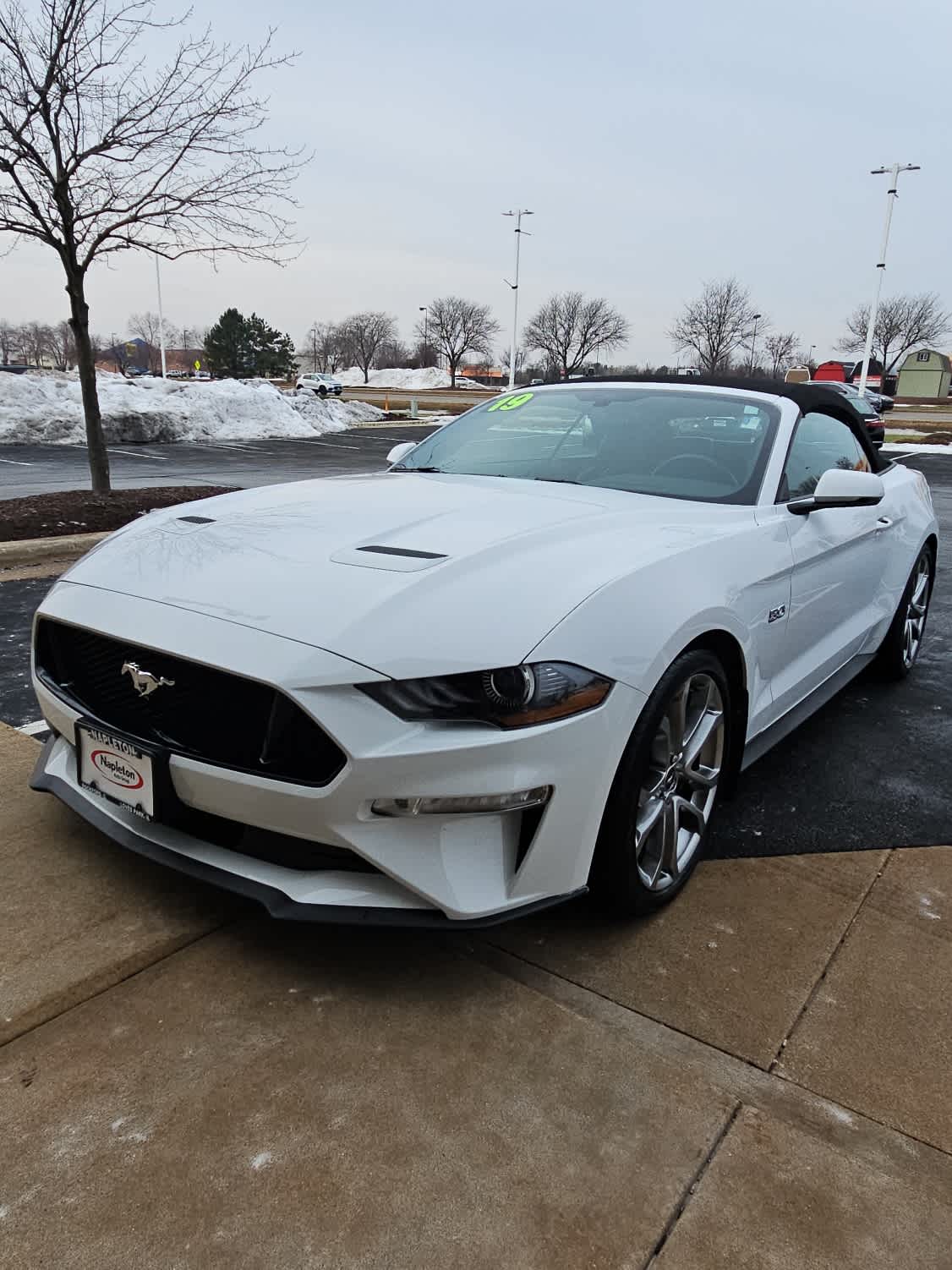 2019 Ford Mustang GT Premium's photo
