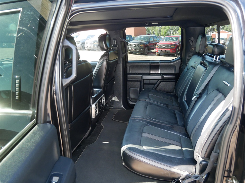 2019 Ford F-150 Platinum photo 9