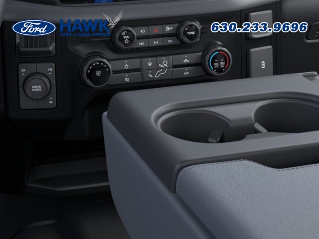 2025 FORD F-150 - Image 15