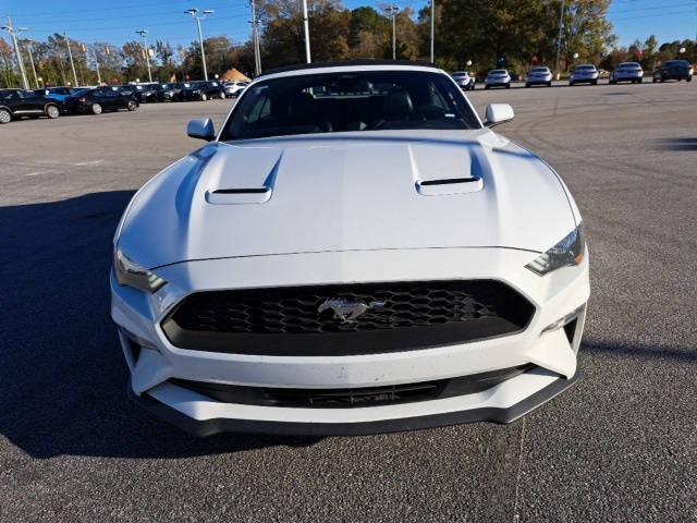 2023 Ford Mustang EcoBoost Premium photo 3