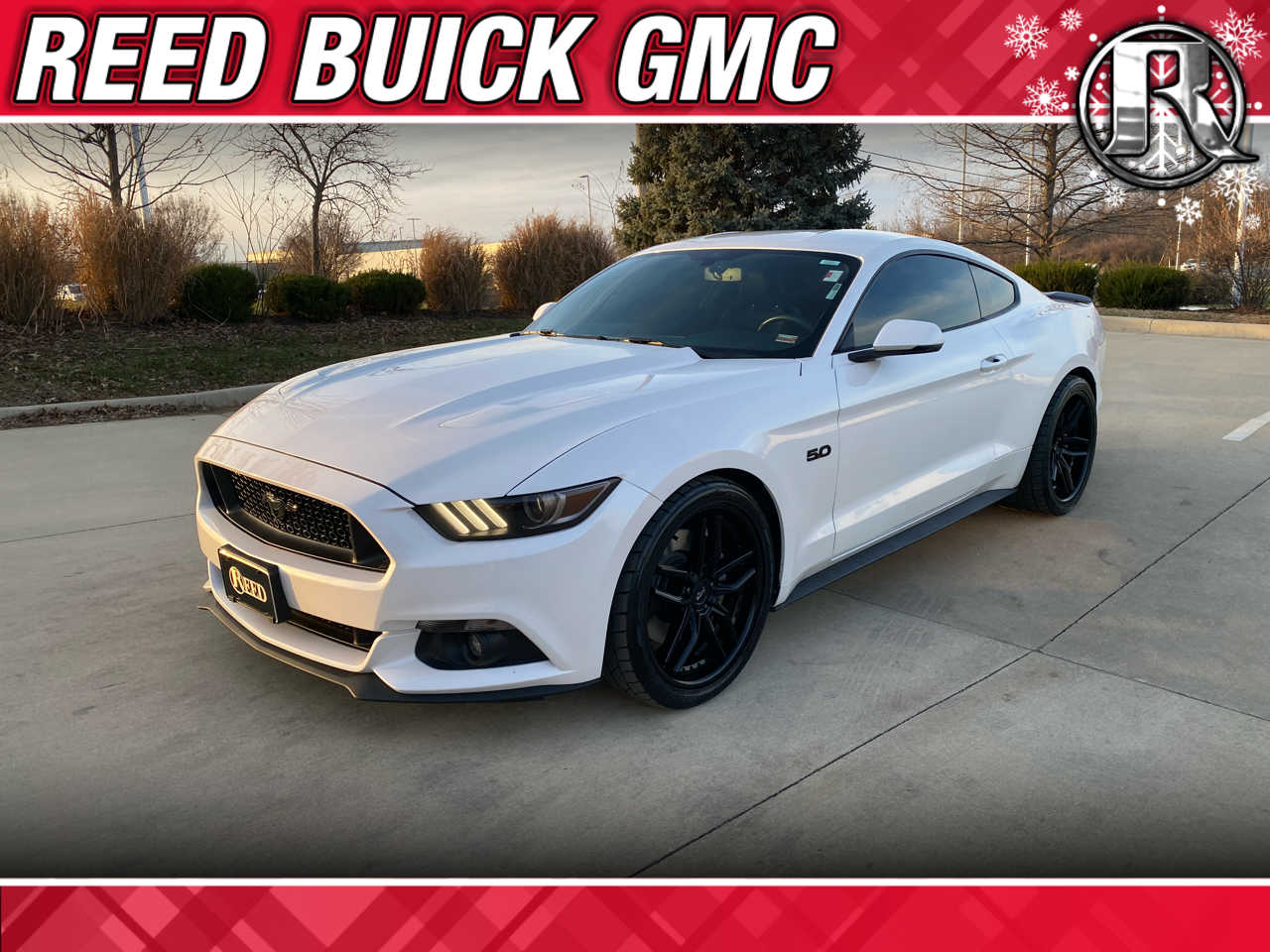 2017 Ford Mustang GT Premium's photo