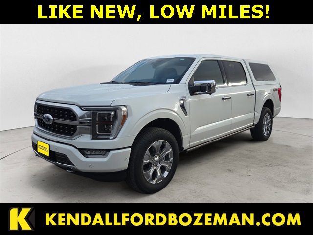 2022 Ford F-150 Platinum's photo