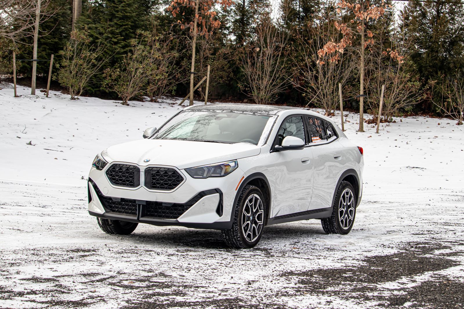 2025 BMW X2 28i's photo