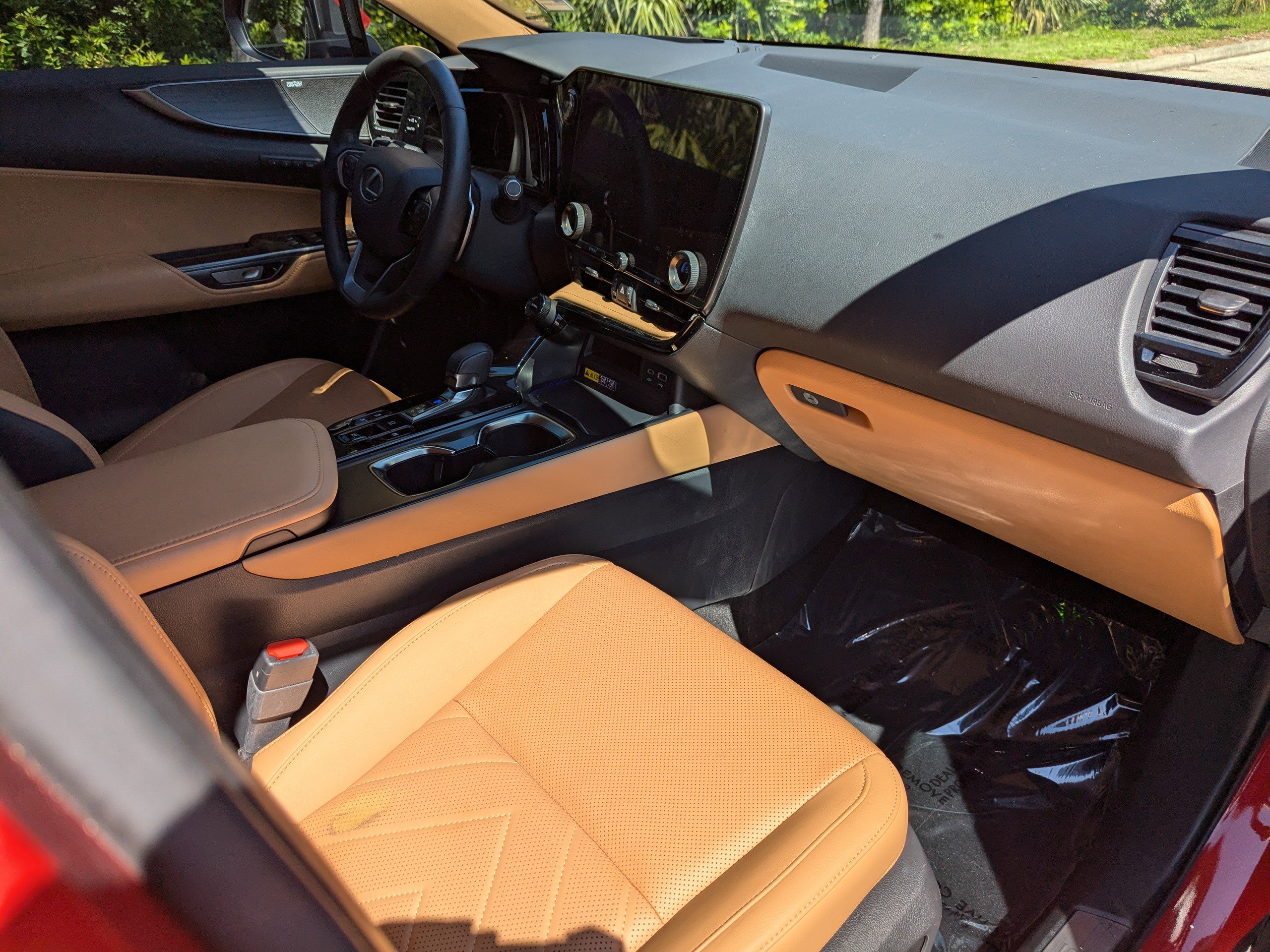2025 Lexus NX 350h Luxury photo 13