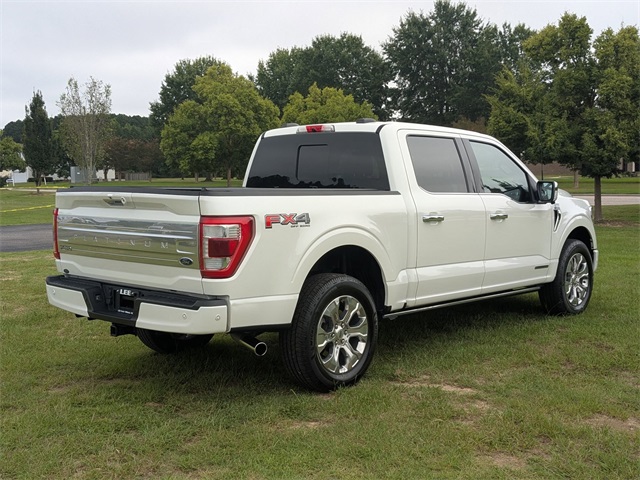 2022 Ford F-150 Platinum photo 4