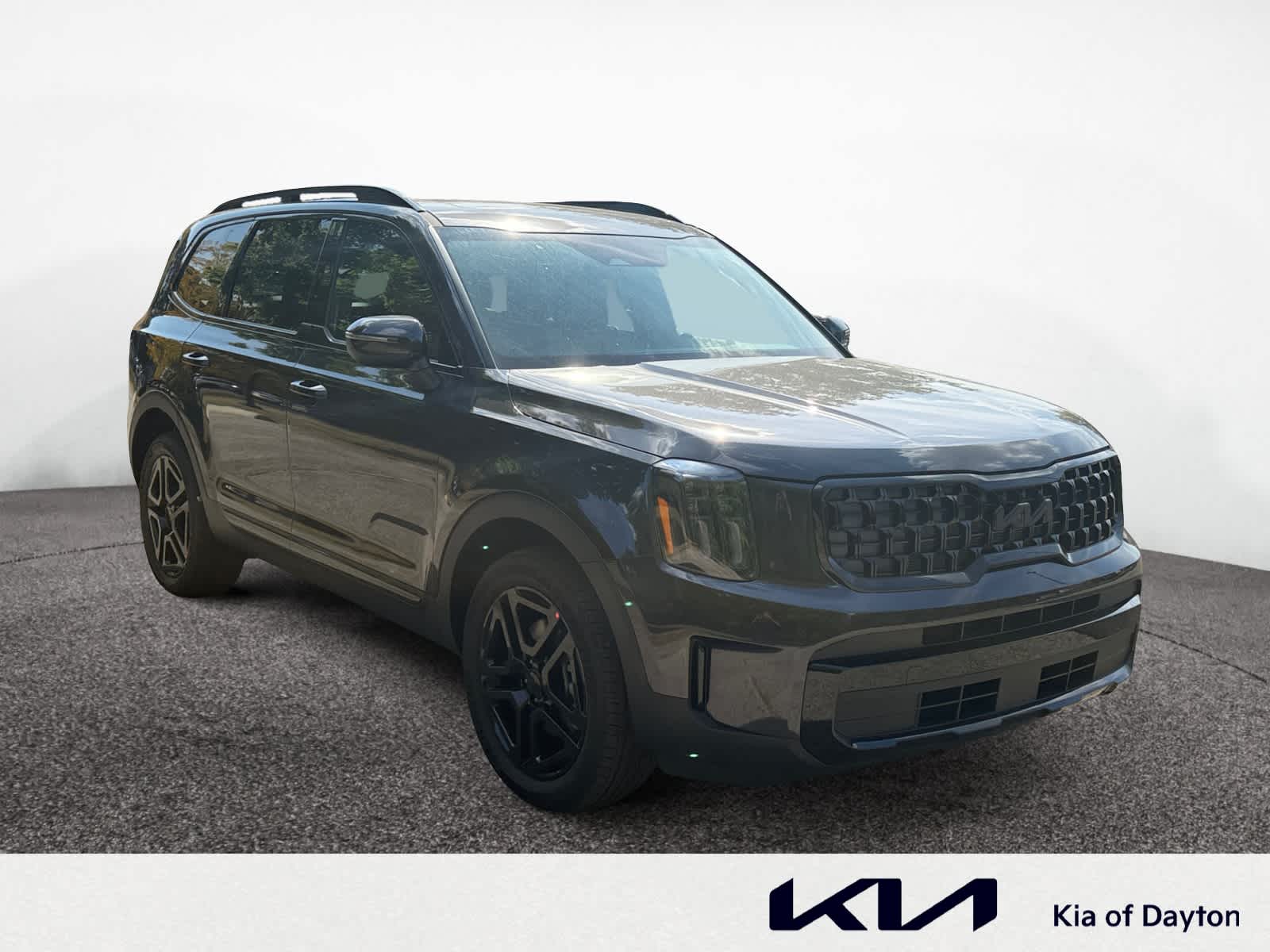 2025 Kia Telluride EX X-Line photo 6
