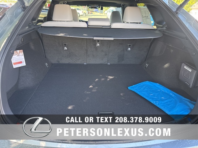 2025 Lexus RX 350 Premium photo 18