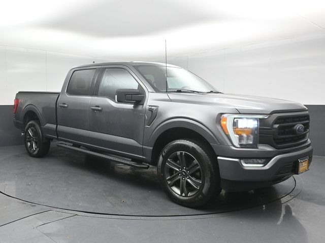 2023 FORD F-150 - Image 1
