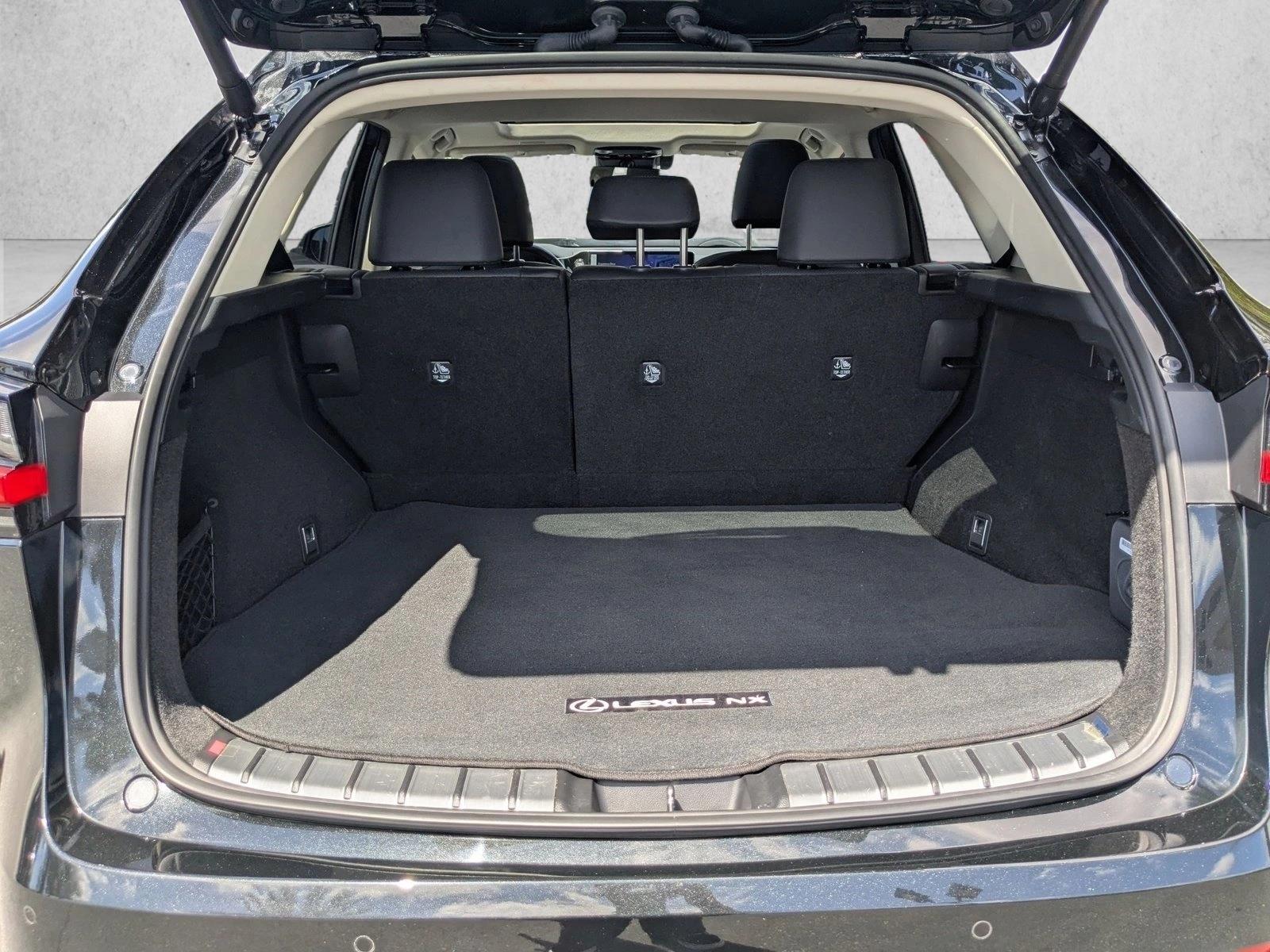 2024 Lexus NX 350 Luxury photo 6