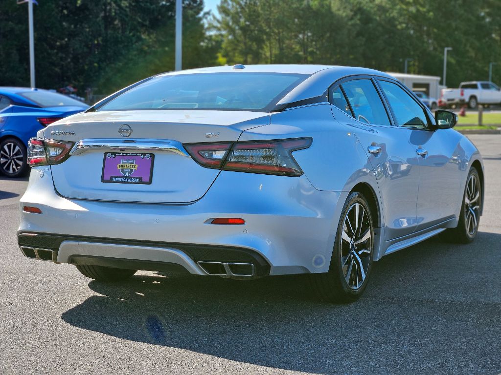 2023 Nissan Maxima SV photo 7
