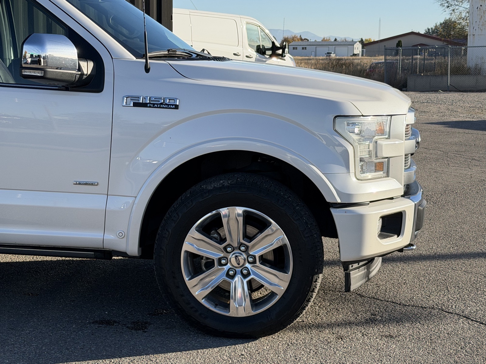 2017 Ford F-150 Platinum photo 3