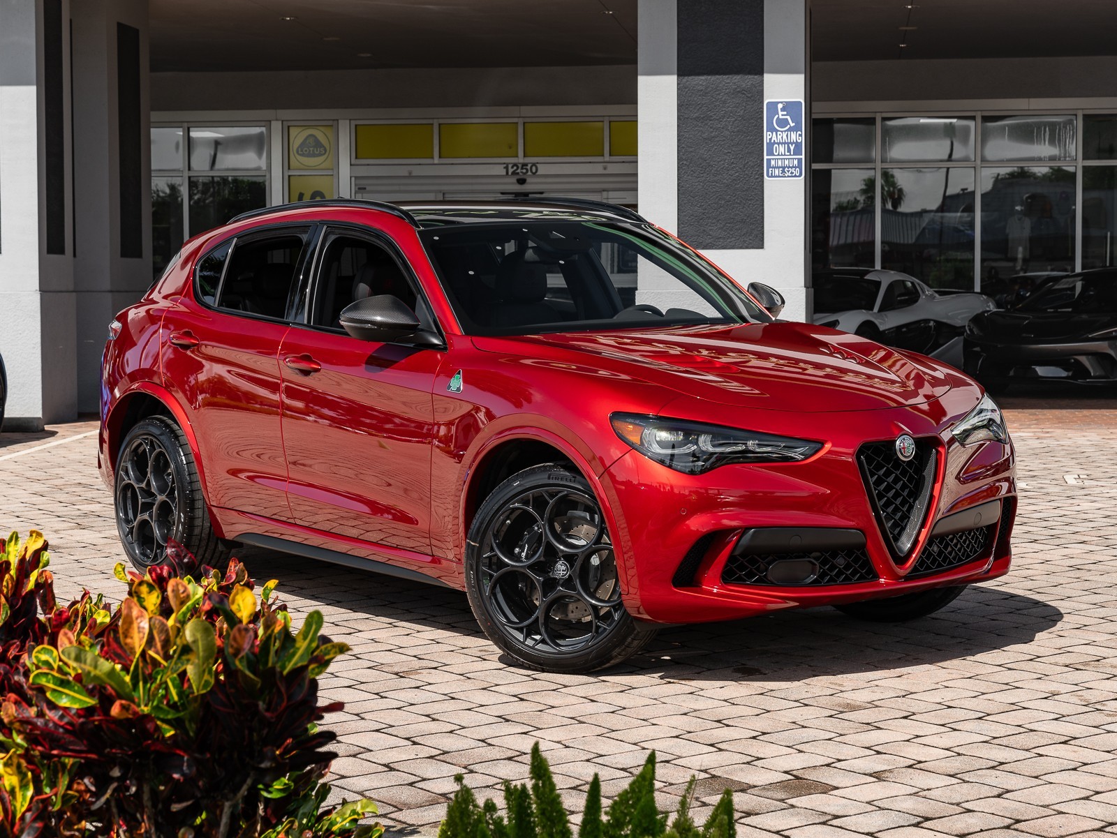 2024 Alfa Romeo Stelvio Quadrifoglio photo 15